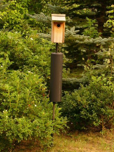 Baffled nest box