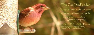 The Zen Birdfeeder Blog