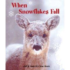 When Snowflakes Fall