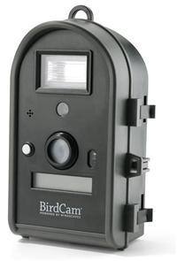 Birdcam 2