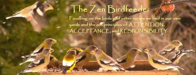 The Zen Birdfeeder Blog