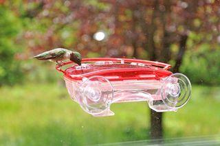 Window feeder