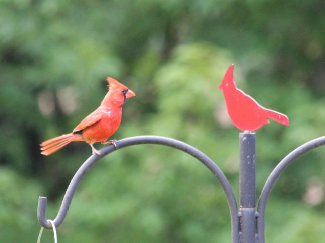 Sweenor Cardinal and finial