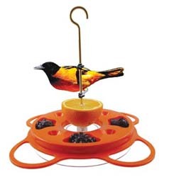 Oriole on fdr Oriole on fdr